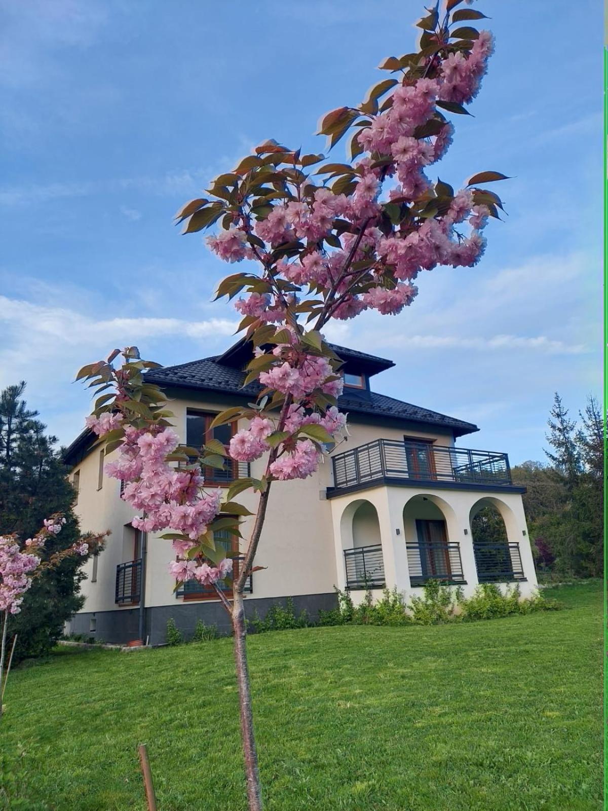 Apartamenty Brenna Klimorowka Exterior foto